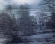 Ori Gersht White Noise