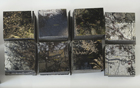 Anthony Auerbach: Mosaic (The State of New York)