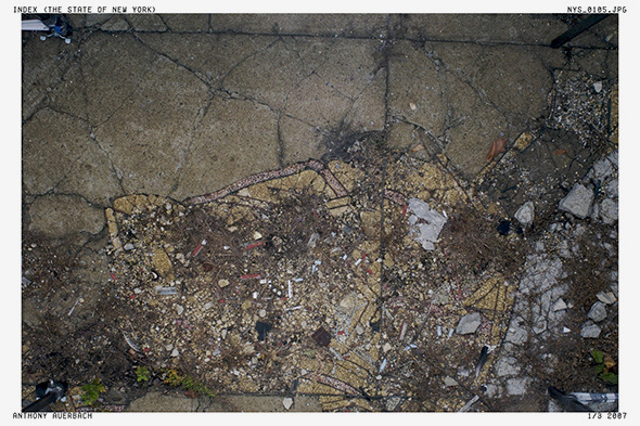 Anthony Auerbach: Index (The State of New York)